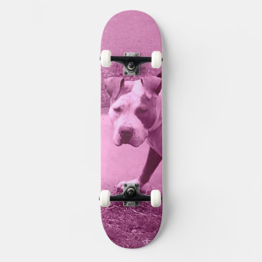 Pink Pit Bull Skateboard (Vorderseite)