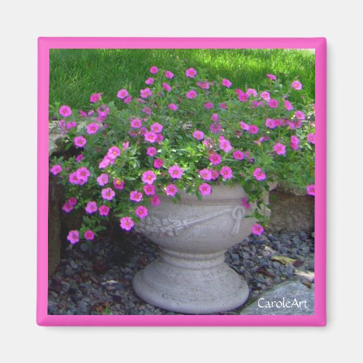 Pink Planter Magnet (Vorne)