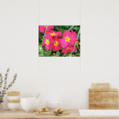 Pink Ployanthus Print Poster (Küche)