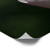 Pink Plumeria Art drucken Poster (Ecke)