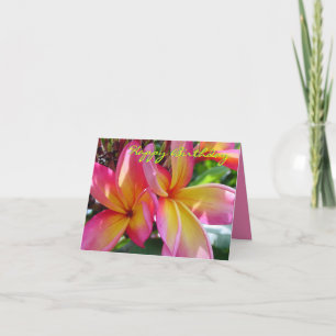 Pink Plumeria Blooms Geburtstagskarte Dankeskarte