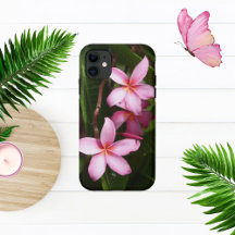Pink Plumeria Blume
