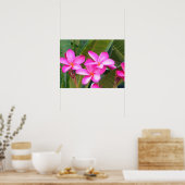 Pink Plumeria Blume drucken Poster (Küche)