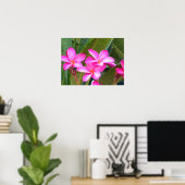 Pink Plumeria Blume drucken Poster (Heimbüro)