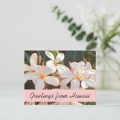 Pink plumeria Blume Hawaii Grüße Postkarte (Stehend Vorderseite)