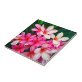 Pink Plumeria Blume Hawaiianische Natur Fliese (Seite)