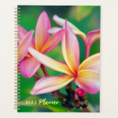 Pink Plumeria Blume Planer (Vorderseite)