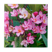 Pink Plumeria Fliese (Vorderseite)