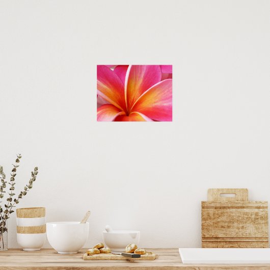 Pink Plumeria Frangipani Hawaii Blume Hawaii Poster (Küche)