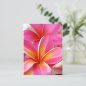 Pink Plumeria Frangipani Hawaii Blume Hawaii Postkarte (Stehend Vorderseite)