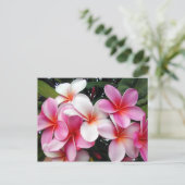 Pink Plumeria Hawaiian Postcard Postkarte (Stehend Vorderseite)