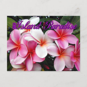 Pink Plumeria Hawaiian Postcard Postkarte