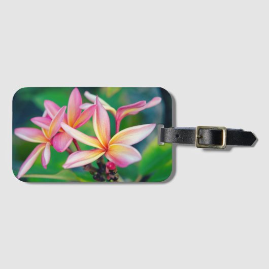 Pink Plumeria Luggage Tag Gepäckanhänger (Vorderseite (Horizontal))