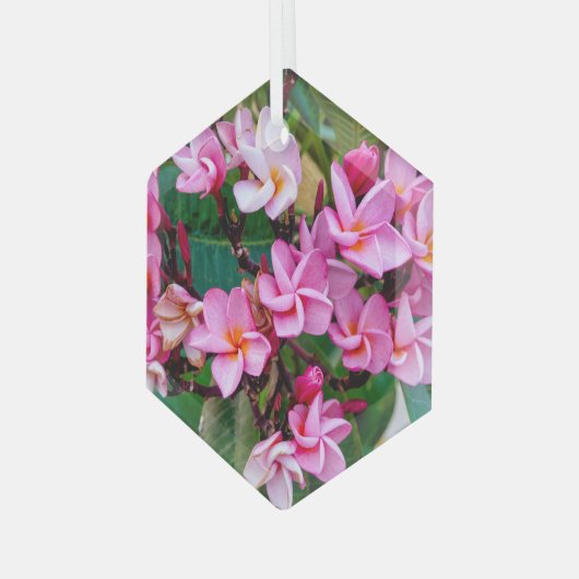 Pink Plumeria Ornament Aus Glas (Vorderseite Links)