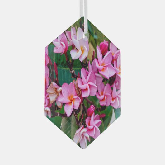 Pink Plumeria Ornament Aus Glas (Vorderseite Rechts)