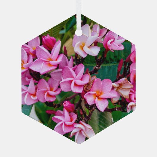 Pink Plumeria Ornament Aus Glas (Rückseite)