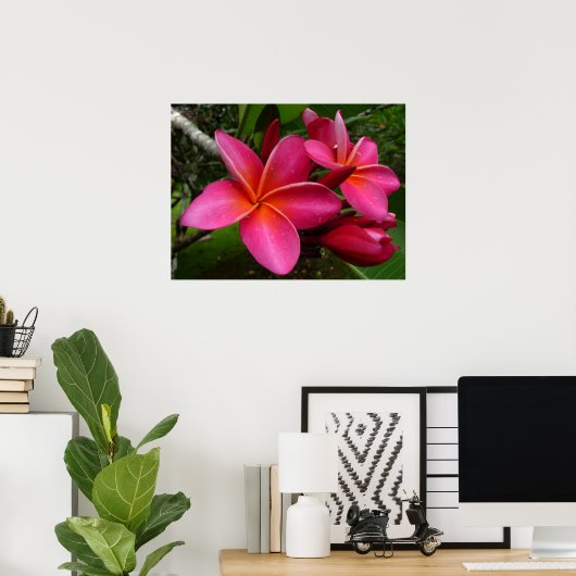 Pink Plumeria Poster (Heimbüro)