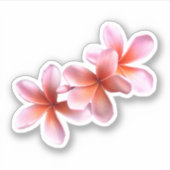 Pink Plumeria Real Floral Hawaii Blume Aufkleber (Vorderseite)