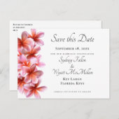 Pink Plumeria Save the Date Weiße Postkarte (Vorne/Hinten)