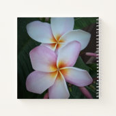 Pink Plumeria Spiral Notebook Notizblock (Rückseite)