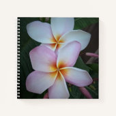 Pink Plumeria Spiral Notebook Notizblock (Vorderseite)
