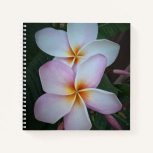 Pink Plumeria Spiral Notebook Notizblock