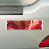 Pink Poinsettia Autoaufkleber (Auf Auto)