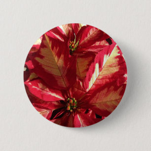Pink Poinsettia Button