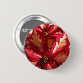 Pink Poinsettia Button (Vorne & Hinten)