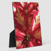 Pink Poinsettia Fotoplatte (Seite)