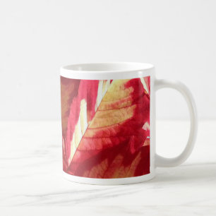 Pink Poinsettia Kaffeetasse