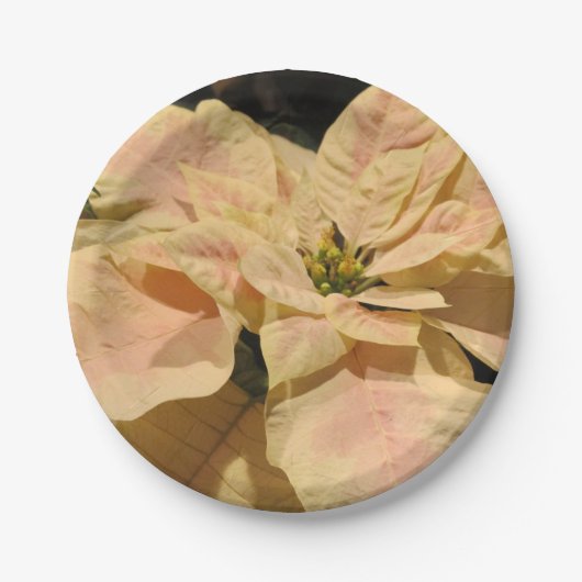 Pink Poinsettia Weihnachts-Party Papier Teller (Vorderseite)