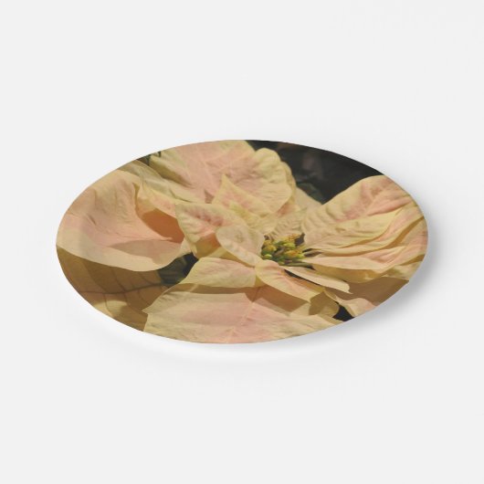 Pink Poinsettia Weihnachts-Party Papier Teller (Schrägansicht)