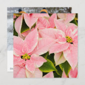 Pink Poinsettias Feiertagskarte (Vorne/Hinten)