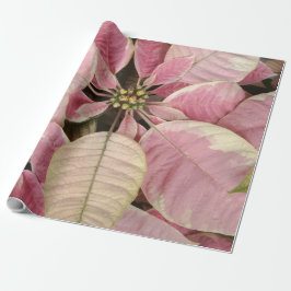 Pink Poinsettias Geschenkpapier