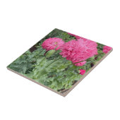 Pink Pom Pom Poppies Fliese (Seite)