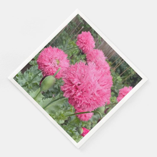 Pink Pom Pom Poppies Serviette (Ecke)