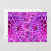 Pink PomPom Dahlia Blume Postkarte (Vorne/Hinten)