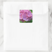 Pink Pompom Hydrangea Hortensia Blume Quadratischer Aufkleber (Tasche)