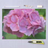 Pink Pompom Hydrangea Hortensia Blume Seidenpapier (Handwerk)