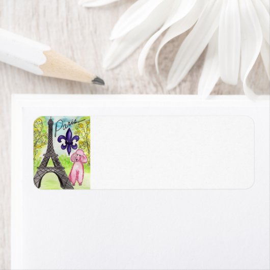 Pink Poodle in Paris (Insitu)