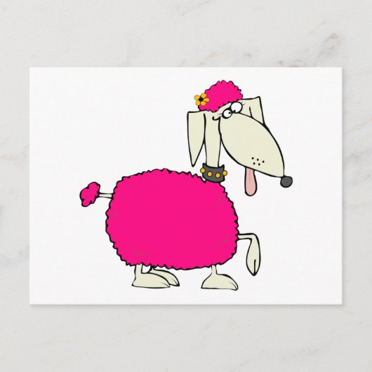 Pink Poodle Postkarte (Vorderseite)