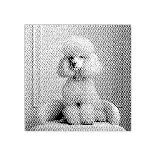 PINK POODLE RUBBER BRIEFMARKE GUMMISTEMPEL (Prägung)