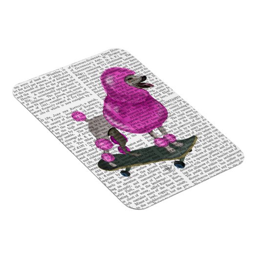 Pink Poodle und Skateboard Magnet (Rechte Seite)