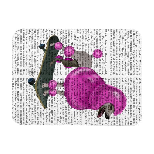 Pink Poodle und Skateboard Magnet (Horizontal)