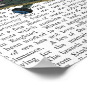 Pink Poodle und Skateboard Poster (Ecke)