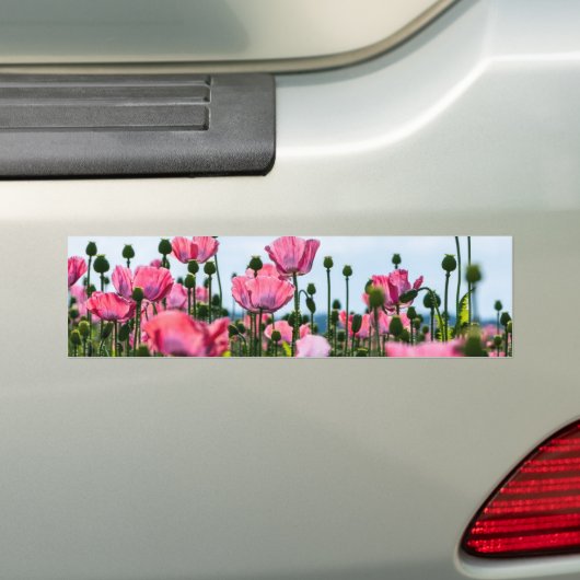 Pink Poppies Autoaufkleber (Auf Auto)