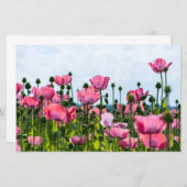 Pink Poppies Briefpapier (Vorne/Hinten)
