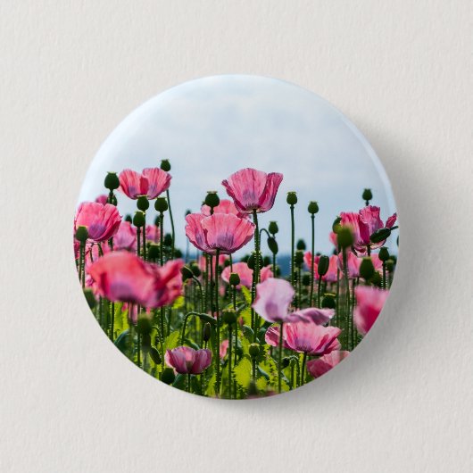 Pink Poppies Button (Vorderseite)
