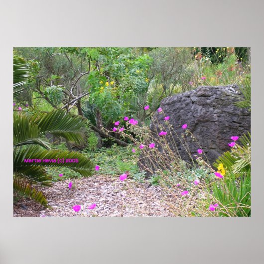 Pink Poppies Garden Poster (Vorne)
